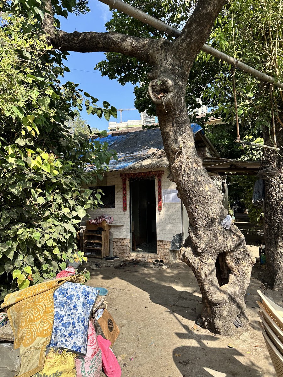 MeghwadiVoice's tweet photo. Meghwadi’s story is not just about the farm. It’s also about the caretaker families who have protected and maintained this land for decades.

Today, they hope for a little time and humanitarian consideration as they face relocation during the monsoon season🙏 @milinddeora @mybmc https://t.co/xCwhtDC2Z1