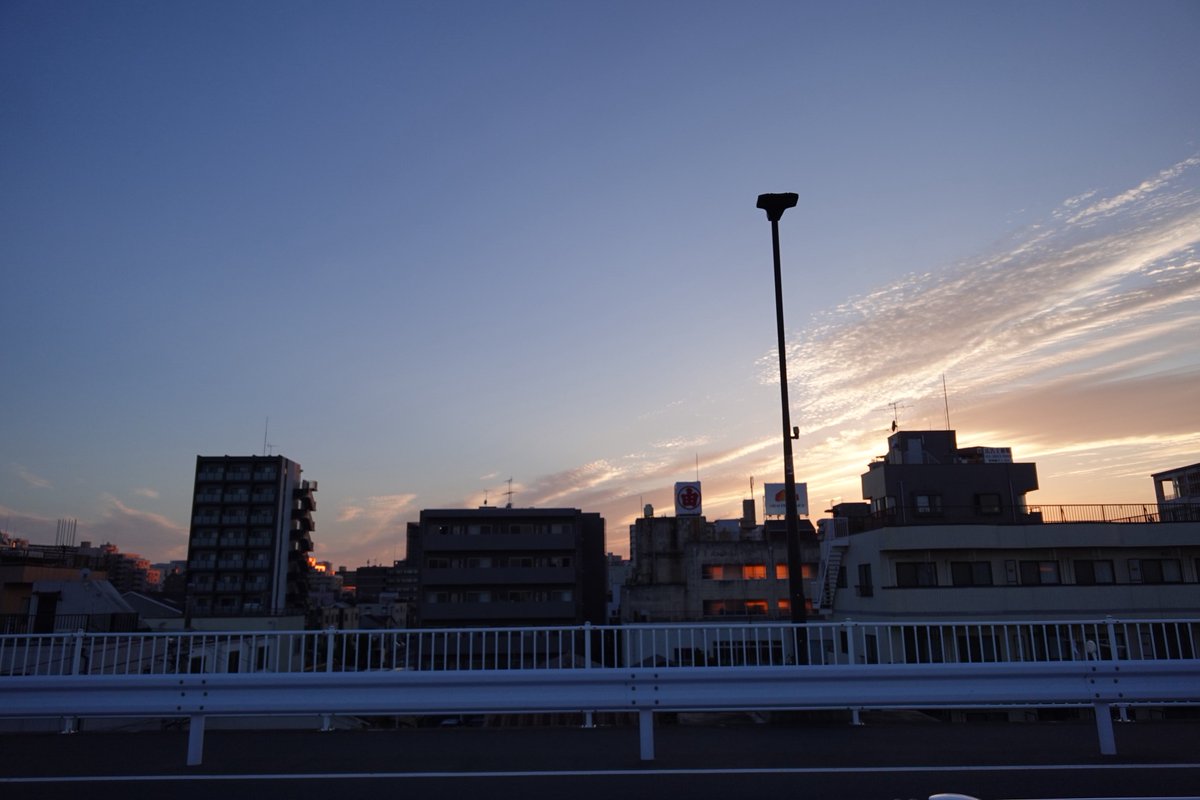 pelonmi_'s tweet photo. 先日の散歩。 https://t.co/dZPzd87xzd