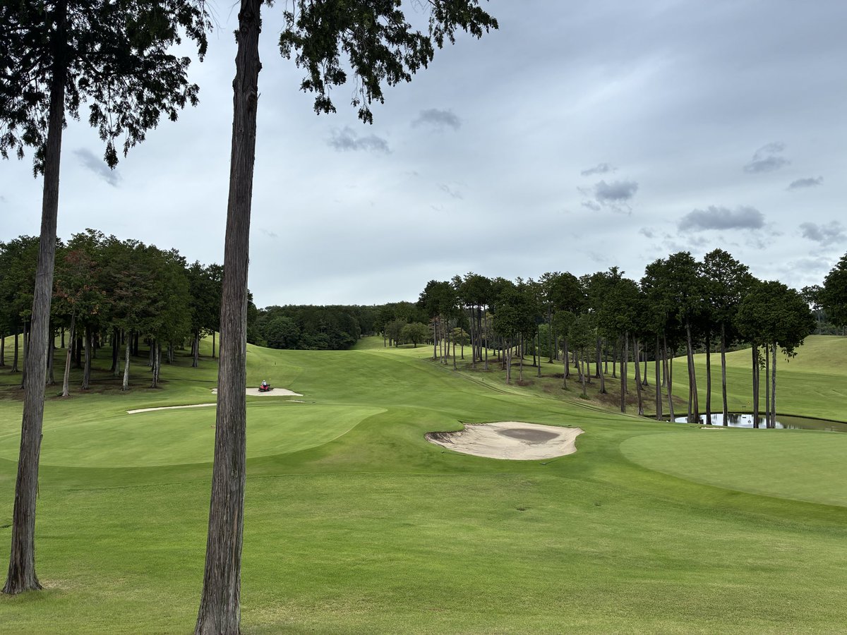 Kag_Tam's tweet photo. ⛳️ https://t.co/gHddyoTnu9