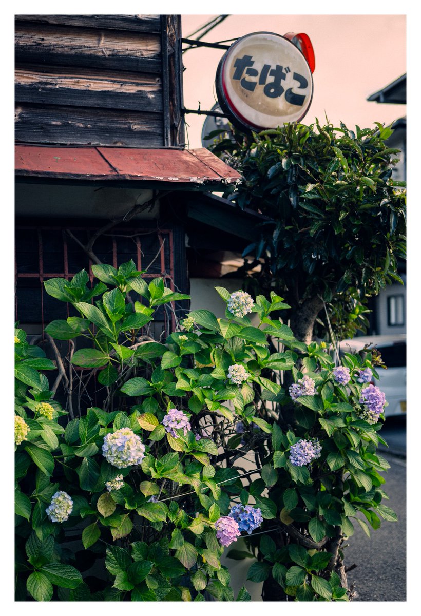 eikichi_photo's tweet photo. 言葉に出来なかったので撮りました https://t.co/4Qu7wMPrCn
