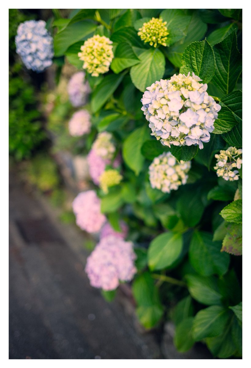 eikichi_photo's tweet photo. 言葉に出来なかったので撮りました https://t.co/4Qu7wMPrCn