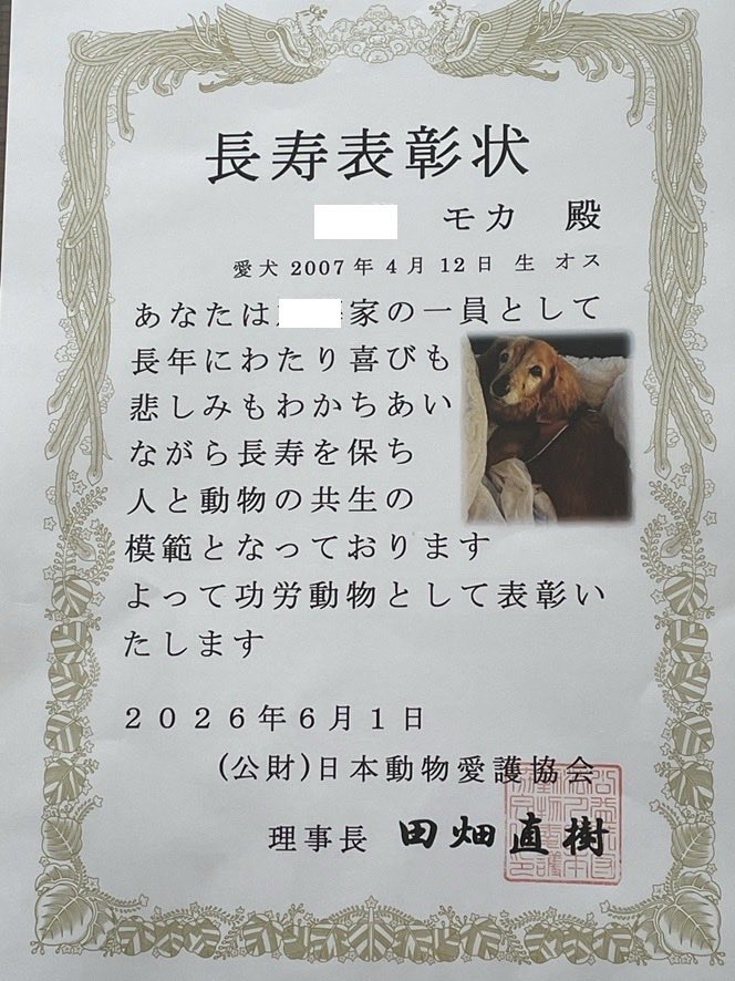 70RockV's tweet photo. うちの愛犬モカが表彰状を頂きました🎉
満19歳です😊 https://t.co/a3RJnsgnjV