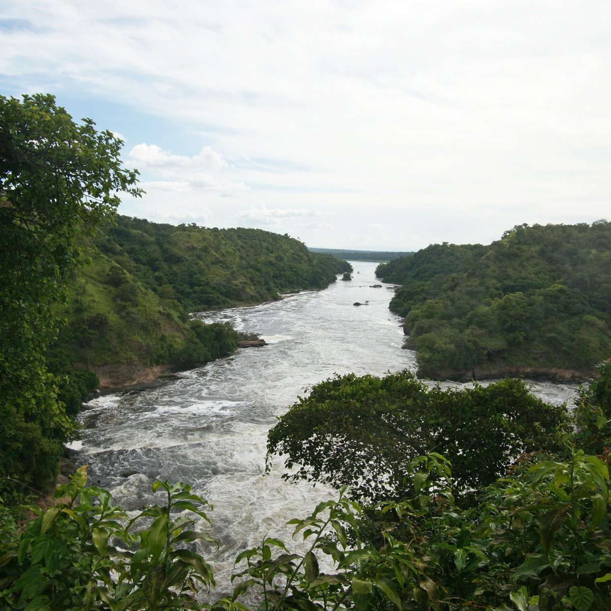 Murchisonug's tweet photo. Power meets peace! Unique landscape blend awaits: https://t.co/lkUrMh1hKZ  #murchisonfallsuganda #murchisonfallsinuganda #murchisonnationalpark #murchisonfallspark  #murchisonfallsnationalpark https://t.co/3BjtrVYmG8
