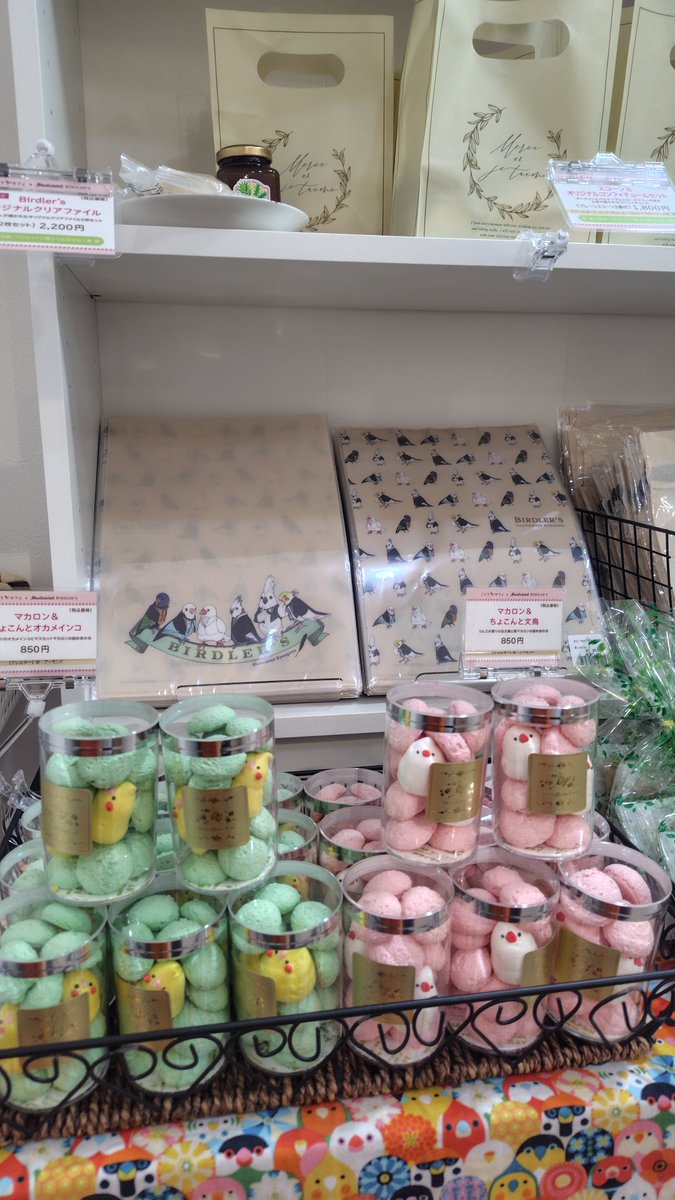 swallowtail_bc's tweet photo. ことりカフェに暮らす小鳥たちが新ユニット「Birdler’s（バードラーズ）」を結成し、隈川による描き下ろしイラストで登場🎶

そのイラストを使用したオリジナルグッズや焼菓子をご用意しております。 https://t.co/vzWywMTyb4