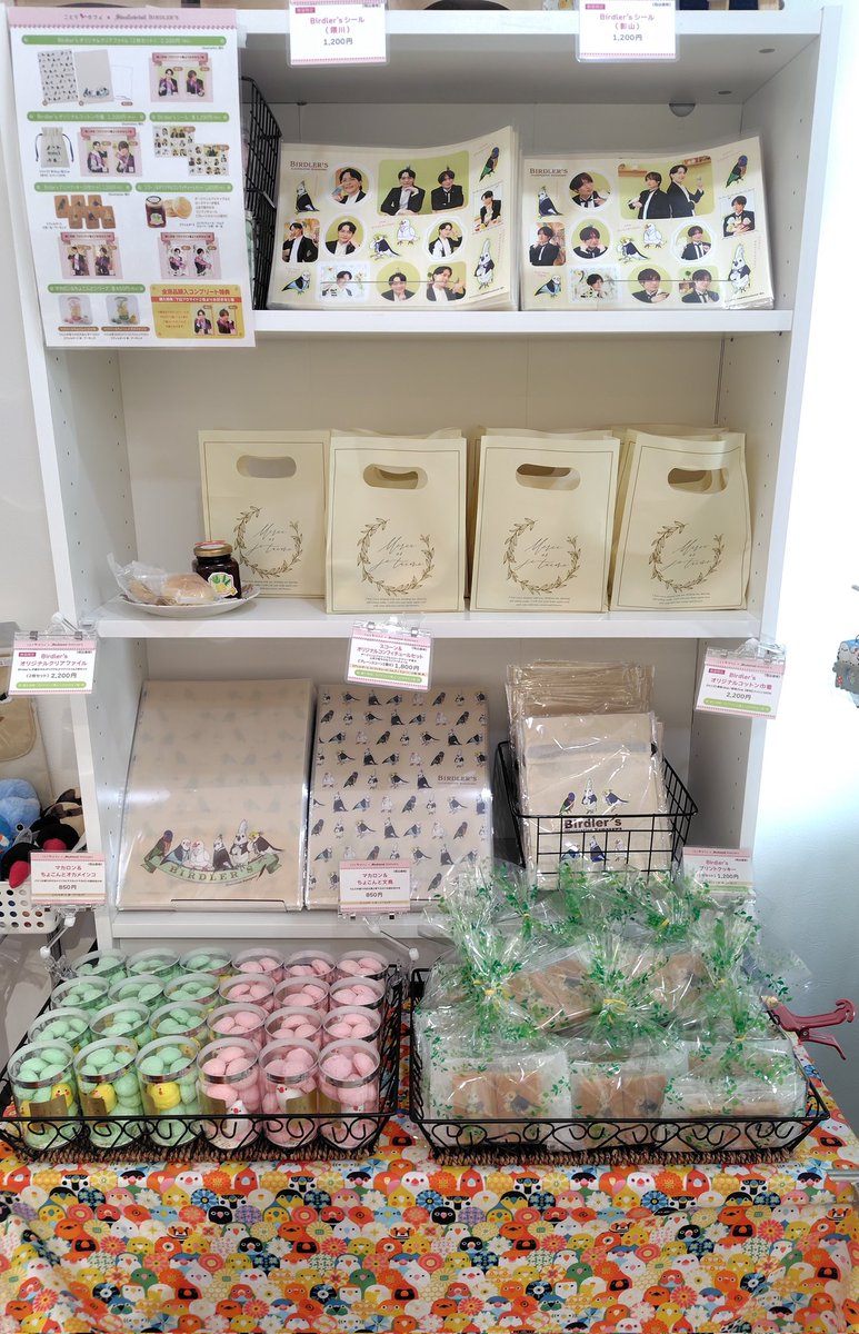 swallowtail_bc's tweet photo. ことりカフェに暮らす小鳥たちが新ユニット「Birdler’s（バードラーズ）」を結成し、隈川による描き下ろしイラストで登場🎶

そのイラストを使用したオリジナルグッズや焼菓子をご用意しております。 https://t.co/vzWywMTyb4