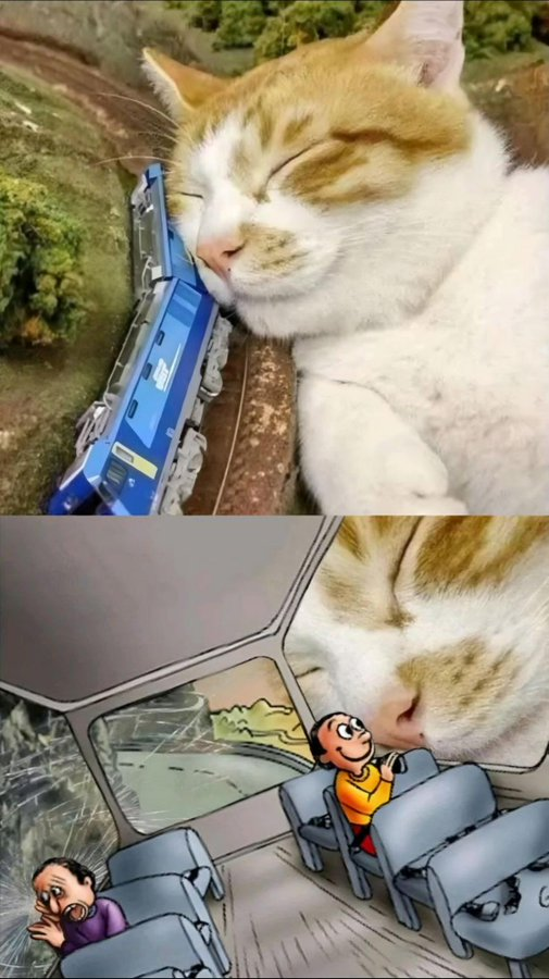sensesmemes's tweet photo. https://t.co/GxckbHiP45