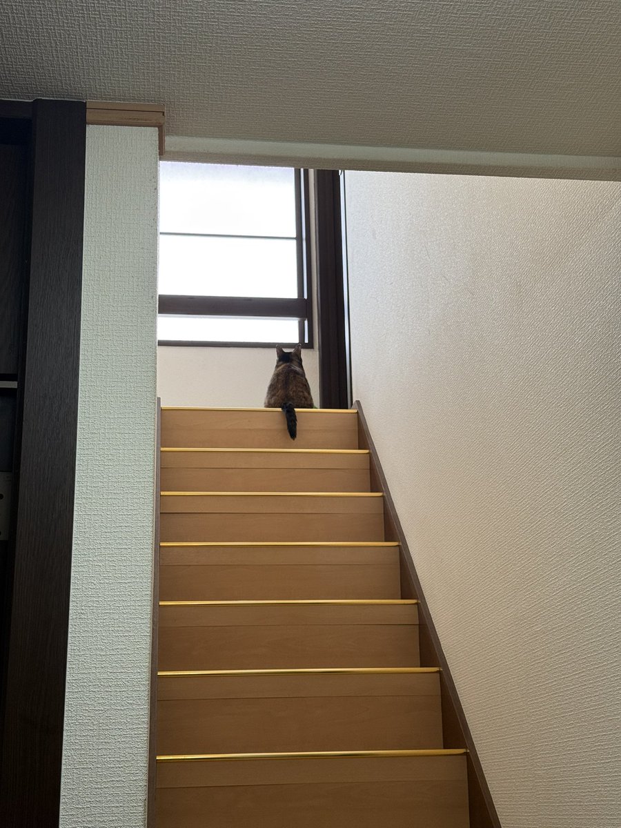 uminmii's tweet photo. https://t.co/AxKttJQ1n1