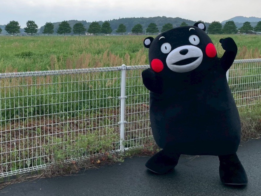 55_kumamon's tweet photo. おはくま～！今日は金曜日、あとひとがんばりかモン！ https://t.co/nTSRYBP21G