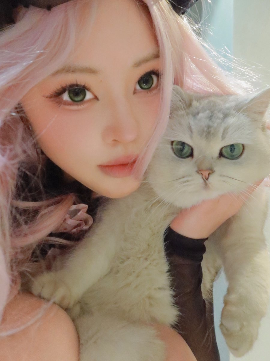 _onodela's tweet photo. ネコとネコ https://t.co/83iIFZ2gKM