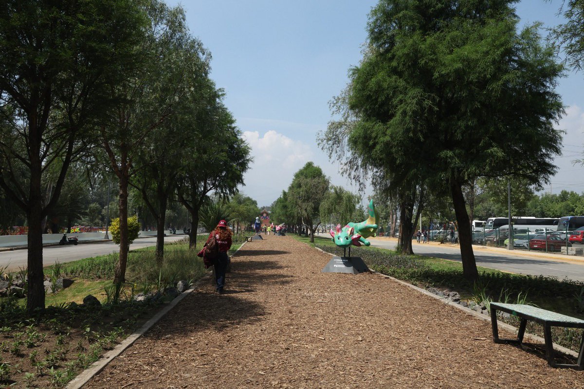RedCapital_'s tweet photo. Así es el nuevo Embarcadero de Cuemanco 🏵️🌸🌼

Con una inversión de 174 millones de pesos, fue renovado este punto turístico de #Xochimilco. https://t.co/QelRJfKBcG