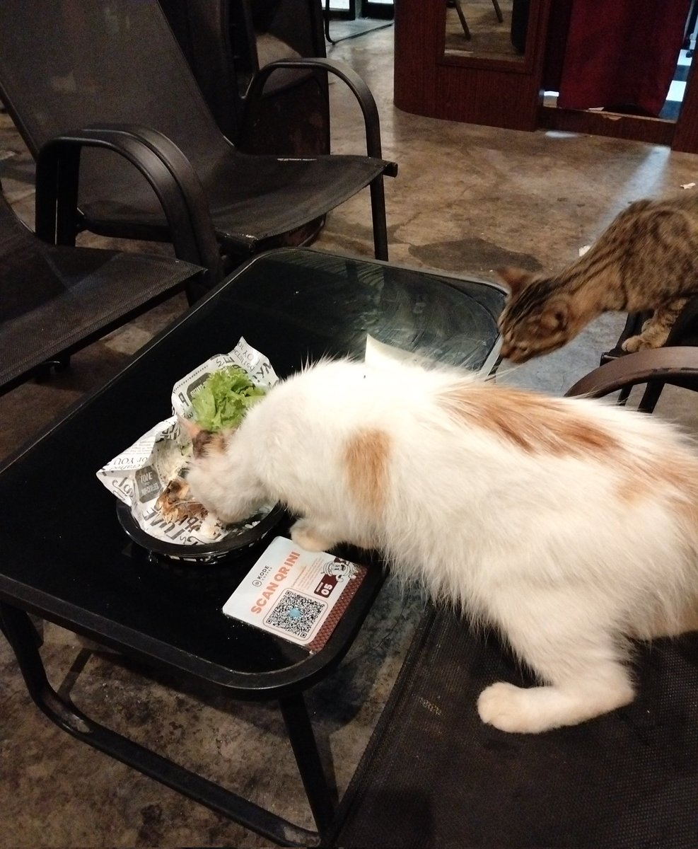 dedeaastii's tweet photo. dua pelaku pencurian ayam bakar aku😞 https://t.co/94VkfMEf4j