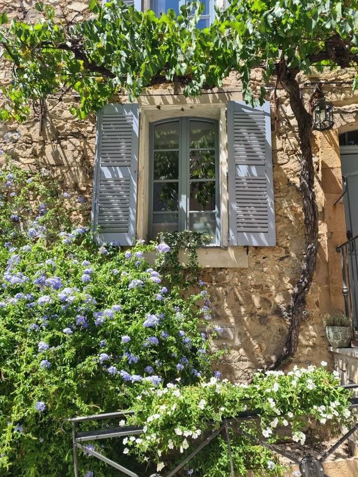 jeanne_sur_mer's tweet photo. Jardin d'été. https://t.co/mGvaSX01wI