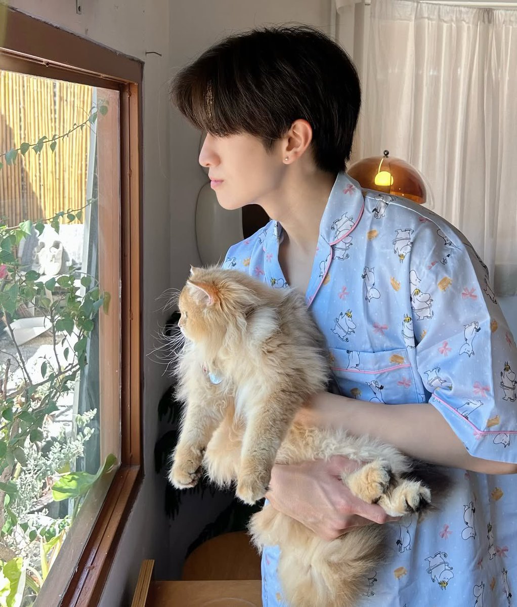 meowrurubun's tweet photo. แยกม่ายออกเยย ไหนคนไหนแมว
 ( ;ᯅ; ) https://t.co/1PLTkNArCO
