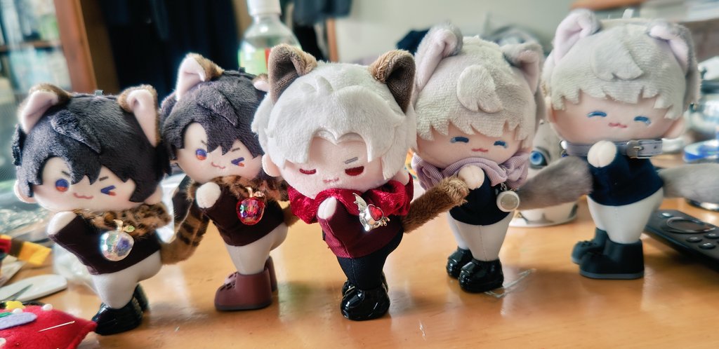 猫ちゃんたくさん増えたから満足🐱🐱🐱