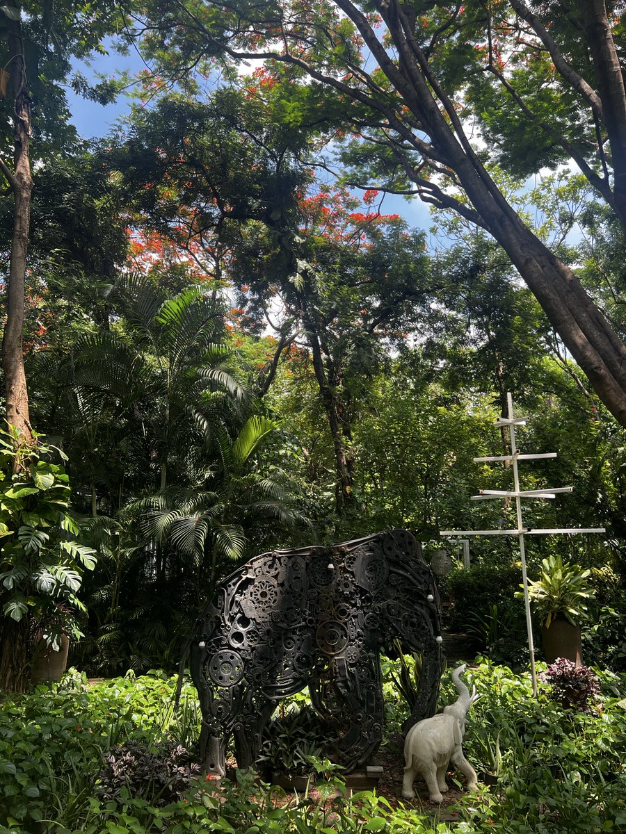 danielwchen0's tweet photo. Just landed in Chiang Mai let’s goooo! https://t.co/lnL1yNDHhs