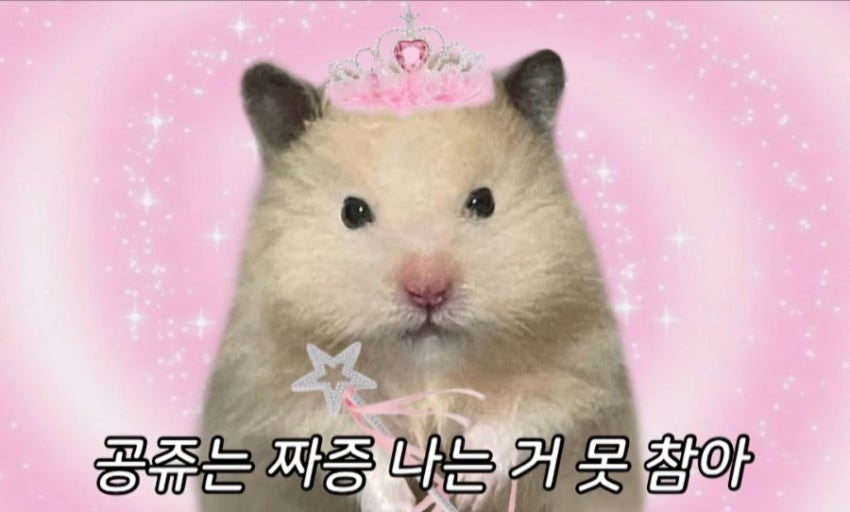 PinkLilith__'s tweet photo. 얘들아
나 뒷담까고 어거지로 퇴사 시킨 원장님이 하던 학원
망해서 주변 학원에 흡수됐대 ^^
존나 꼬시다 히히 https://t.co/d8cspKPPDt