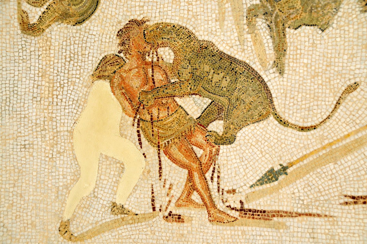 AncientHistorry's tweet photo. Condemned man attacked by a leopard in the arena (3rd-century mosaic from Tunisia) https://t.co/RGxYYwRA88