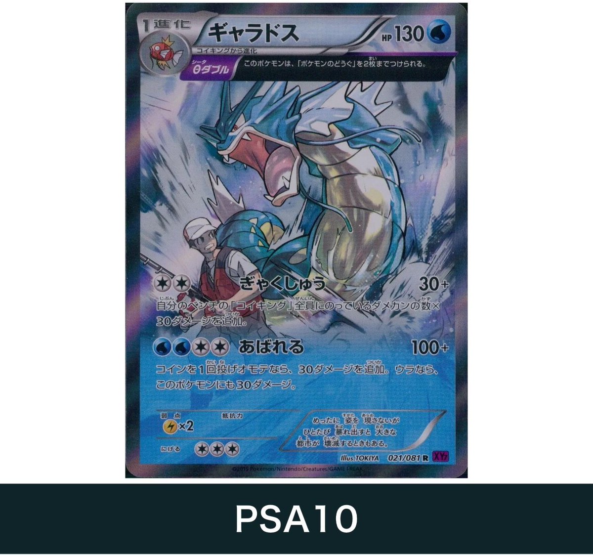 本日の出品ピックアップ／ 📢【ギャラドス R 021/081 XY7「バンデット