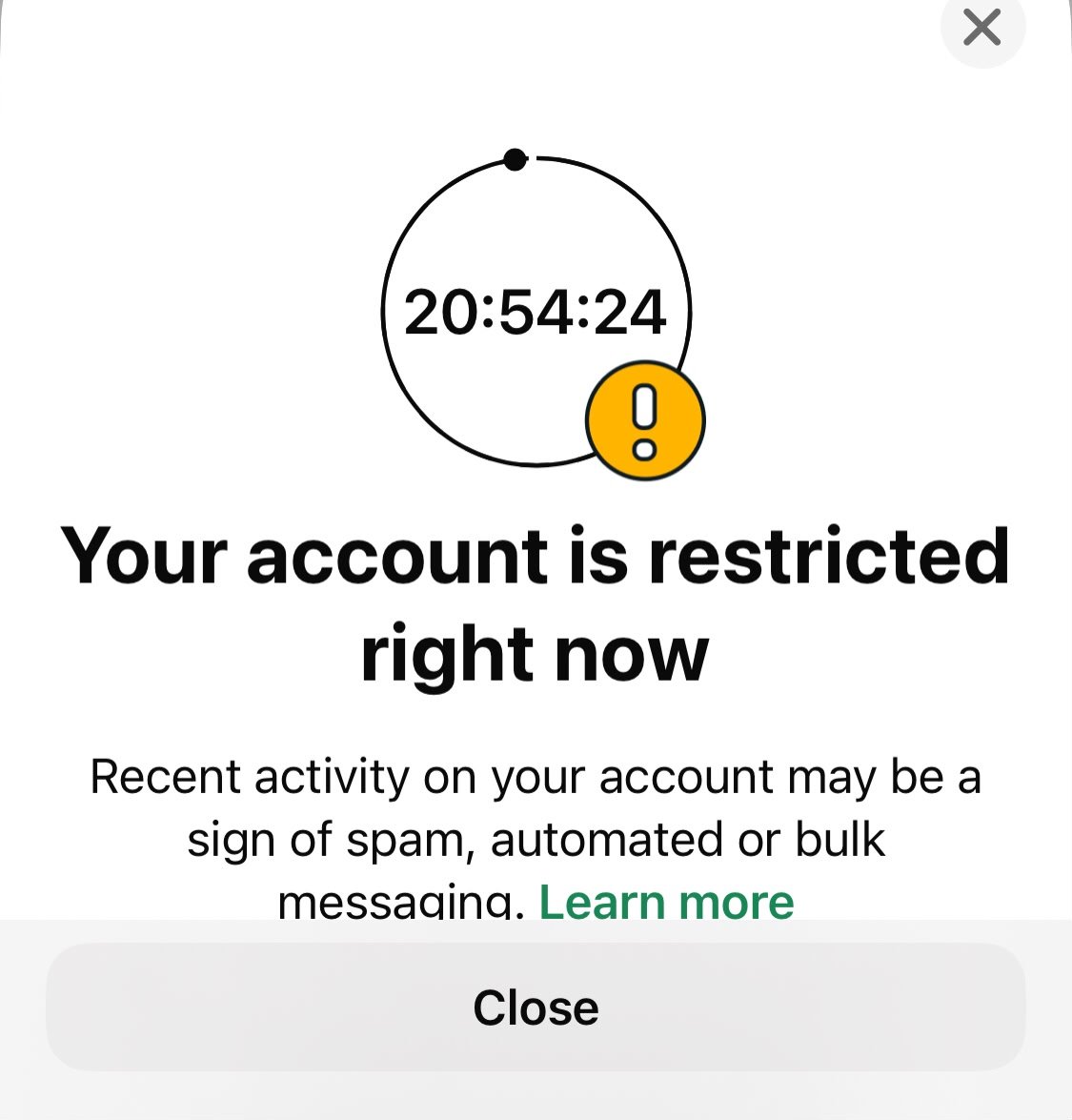 WhatsApp has temporarily restricted my account. Too many people started ...