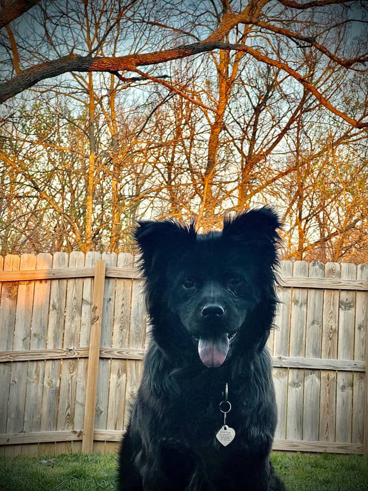 MuskMeHarder's tweet photo. @SantaDecides This goober https://t.co/s4Lze19SJ6