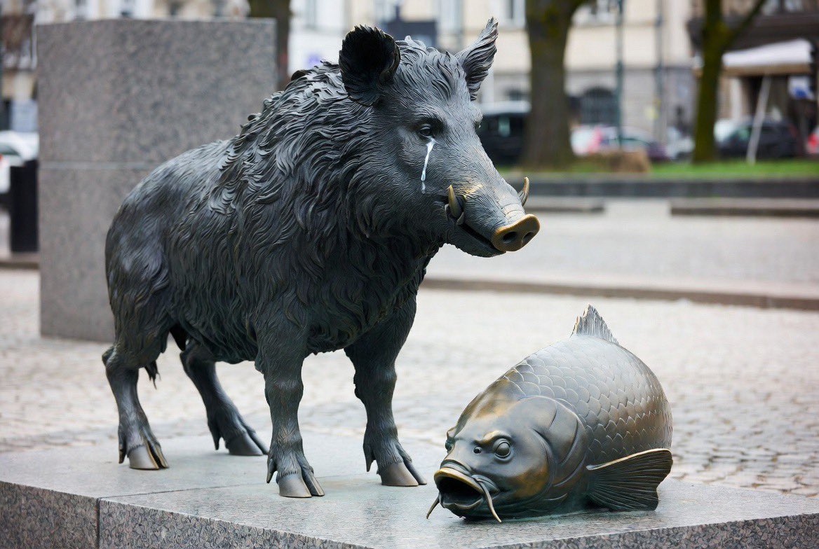 rafalhubert's tweet photo. @dominikacosic Pomnik dumnego dzika płaczącego nad zamordowanym sumem w centrum Warszawy chce zobaczyć https://t.co/f472vsGGkP