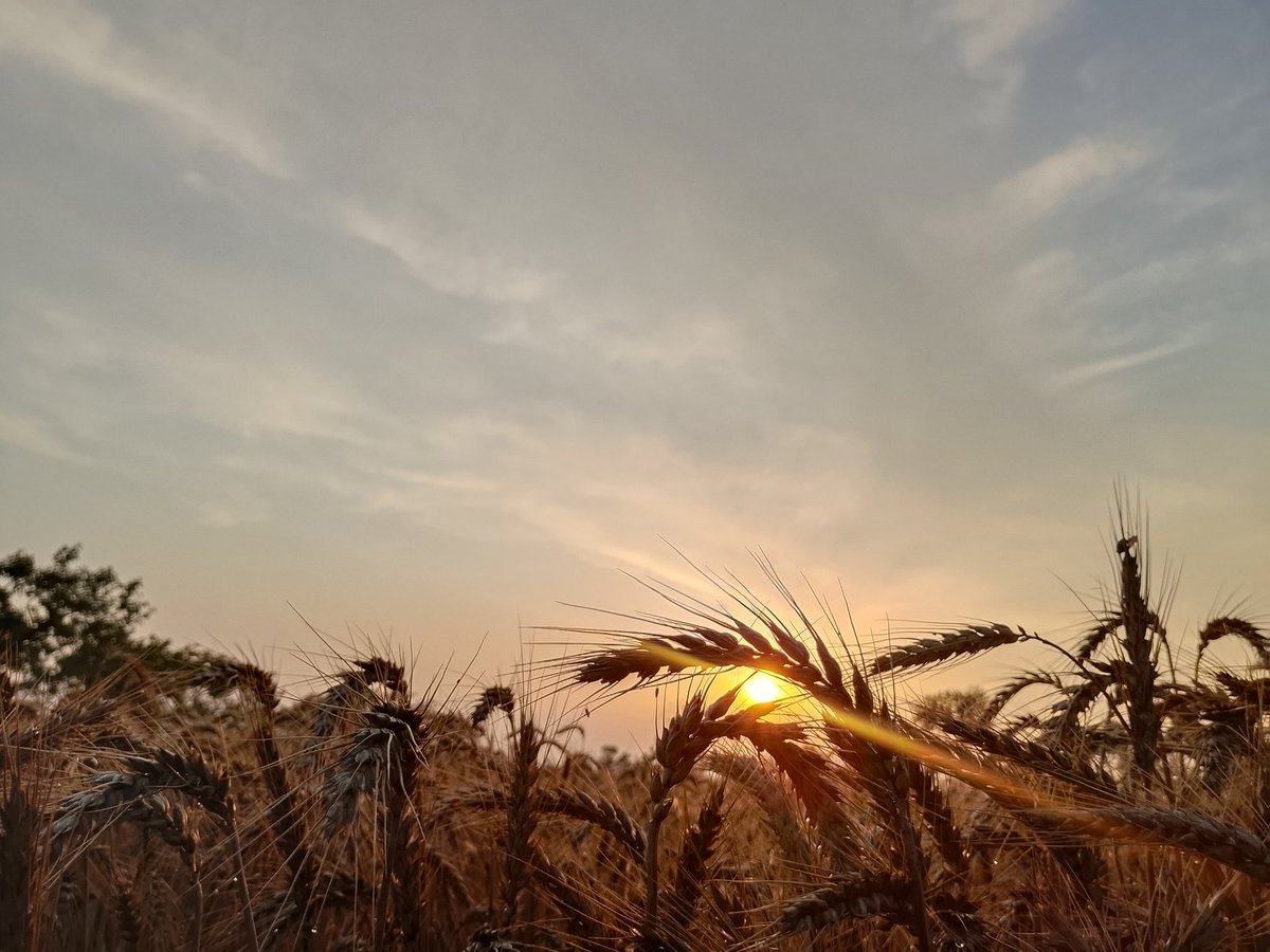 mohsinraza3492's tweet photo. Hi @grok rate the photography out of 10? https://t.co/ARxurMx19B
