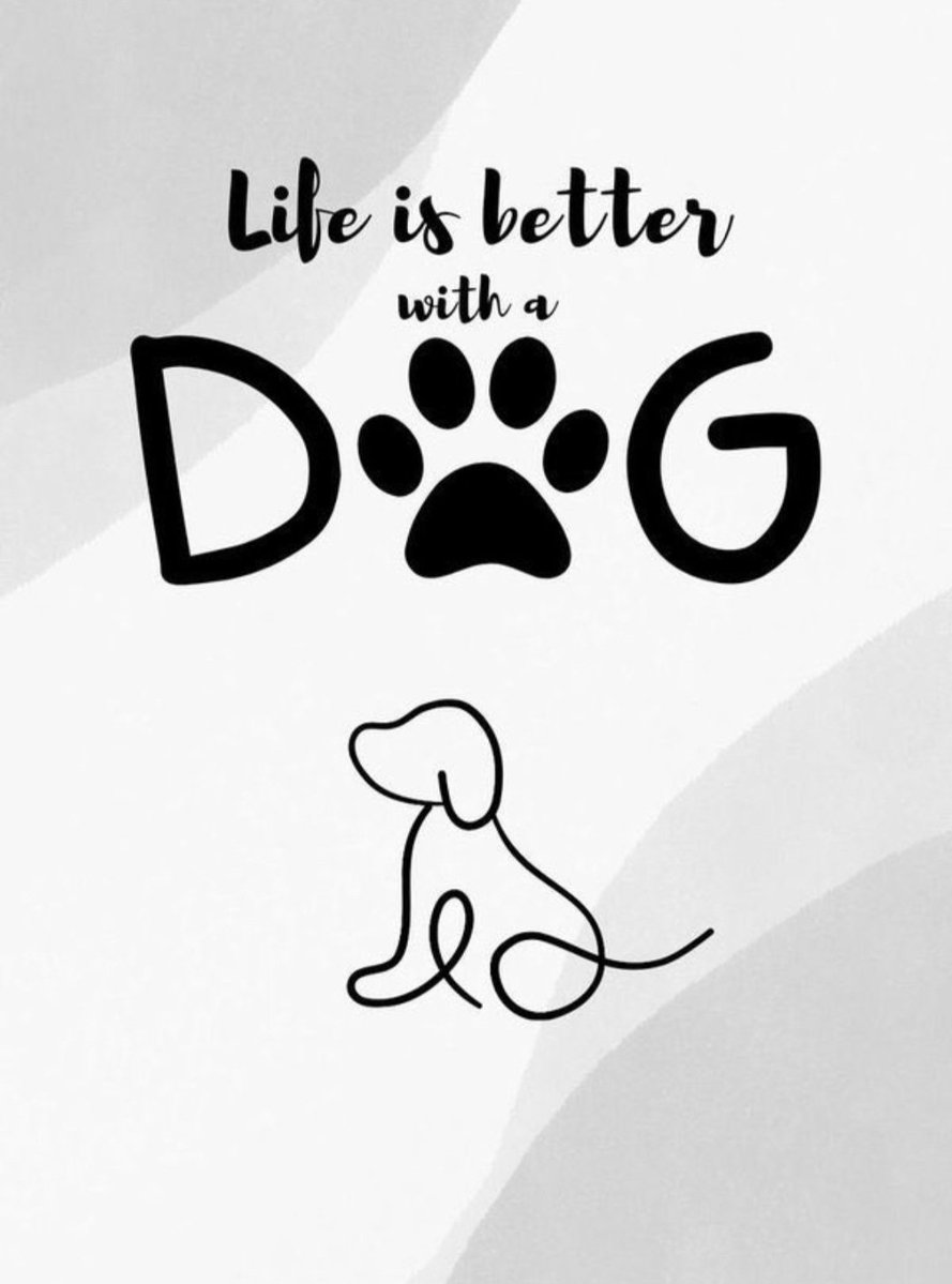 Bluerose359's tweet photo. ❤️🐾 https://t.co/MdYjKm7GO4