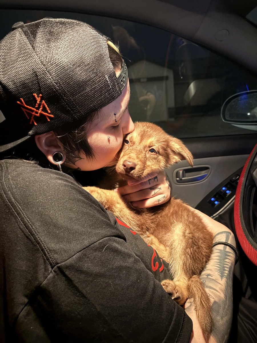 stoneherboneher's tweet photo. can u believe these are jus 2 weeks apart?😅😭💕 https://t.co/sndvM5iSva