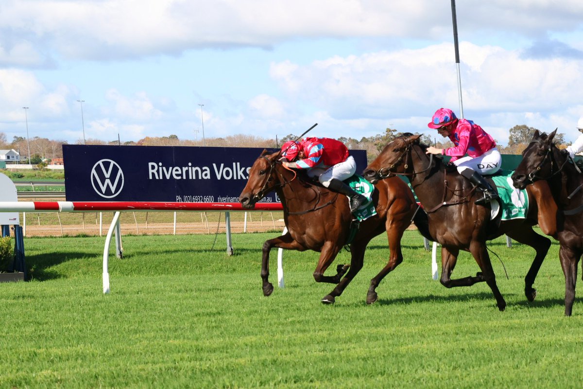 widdoracing's tweet photo. Burning Issues lit a fire on his rivals at Wagga's Murrumbidgee Turf Club 🥇

Brodie Loy landed the pick-up ride on the 4YO Sizzling gelding and gave him a terrific steer as the pair landed a thrilling win in the 1300m Maiden Plate.

📸 Dusty Hooves Media https://t.co/2Ol2BCk2Lh