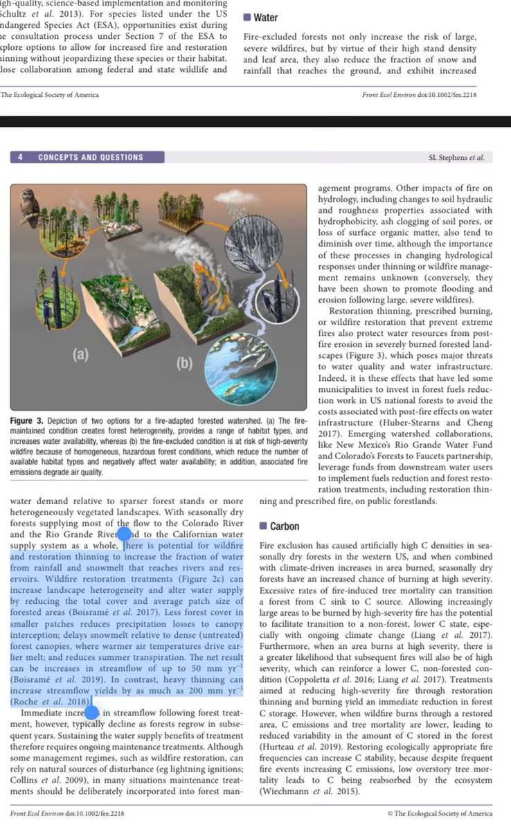 edmillard's tweet photo. “With seasonally dry forests supplying most of the flow to the Colorado River
and the Rio Grande River, and to the Californian water supply system as a whole, there is potential for wildfire
and restoration thinning to increase the fraction of water from rainfall and snowmelt that reaches rivers and res-
ervoirs. Wildfire restoration treatments (Figure 2c) can increase landscape heterogeneity and alter water supply
by reducing the total cover and average patch size of forested areas (Boisramé et al. 2017). Less forest cover in smaller patches reduces precipitation losses to canopy interception; delays snowmelt relative to dense (untreated) forest canopies, where warmer air temperatures drive earlier melt; and reduces summer transpiration. The net result can be increases in streamflow of up to 50 mm yr−1 (Boisramé et al. 2019). In contrast, heavy thinning can increase streamflow yields by as much as 200 mm yr−1 (Roche et al. 2018)”
https://t.co/ABR5u8qgUE