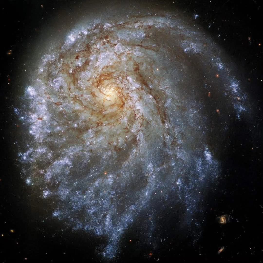 AstroDanziger's tweet photo. L'ASSIMETRIA DELLA GALASSIA NGC 2276

Questa galassia a spirale si trova a circa 120 milioni di anni luce di distanza dalla Terra, nella costellazione di Cefeo ed è stata ripresa dal telescopio spaziale Hubble nel 2019. 
In questa meravigliosa immagine emerge prepotente il suo nucleo giallo brillante, che si trova verso la parte superiore della galassia, in posizione insolitamente decentrata.Tracce di polvere marrone e regioni di stelle bianco-blu sono sparse lungo le sue sinuose braccia a spirale.

La ragione della non perfetta simmetria di NGC 2276 non è qui direttamente visibile, ma è da imputarsi all’influenza gravitazionale della vicina galassia NGC 2300. Quest'ultima sta letteralmente stirando e allungando i bracci a spirale della propria vicina cosmica. 

Tutto ciò rappresenta un ottimo promemoria del fatto che le galassie non sono oggetti cosmici statici e solitari, tutt'altro, esse interagiscono tra loro e talvolta possono diventare compagne inseparabili, destinate poi ad unirsi in un abbraccio sempre più intenso e profondo che le porterà a fondersi completamente.

Proprio quello che potrebbe avvenire alla grande galassia di Andromeda e alla nostra Via Lattea, fra alcuni miliardi di anni.

Credits: NASA, HUBBLE.

Seguite il mio sito:
https://t.co/ETPdHnPk3T

Seguite AstroDanziger sul canale WhatsApp:
https://t.co/rh518sftnx

Il mio romanzo "Kosmos" in vendita in tutti i principali siti e negozi online:

https://t.co/xmeI0dwKjh