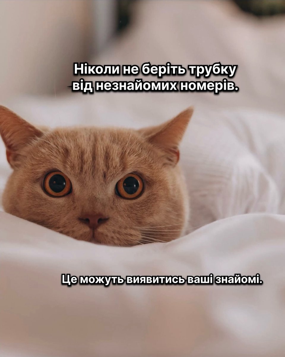 prikolSema's tweet photo. https://t.co/Z32JtRjTLZ