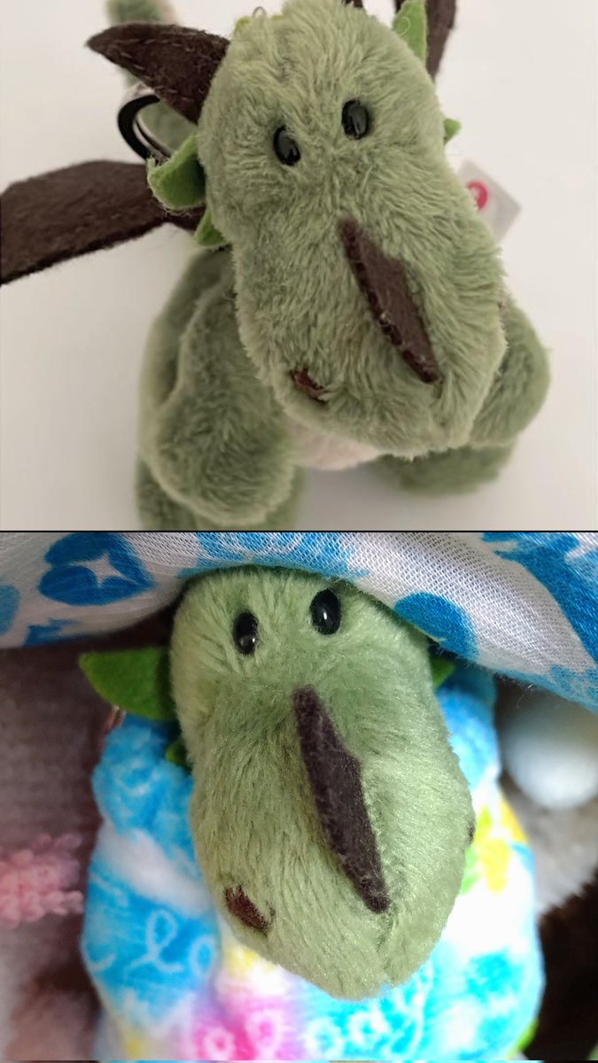 8x7x5's tweet photo. 以前にもちょろっと出��た子ですが
↑出品写真
↓現在 ※同一個体

お迎え時、清掃ついでに軽くブラッシングしたきりですが毛並み良くなり過ぎでは
#NICI
#ぬい撮り https://t.co/tK85gHv41F
