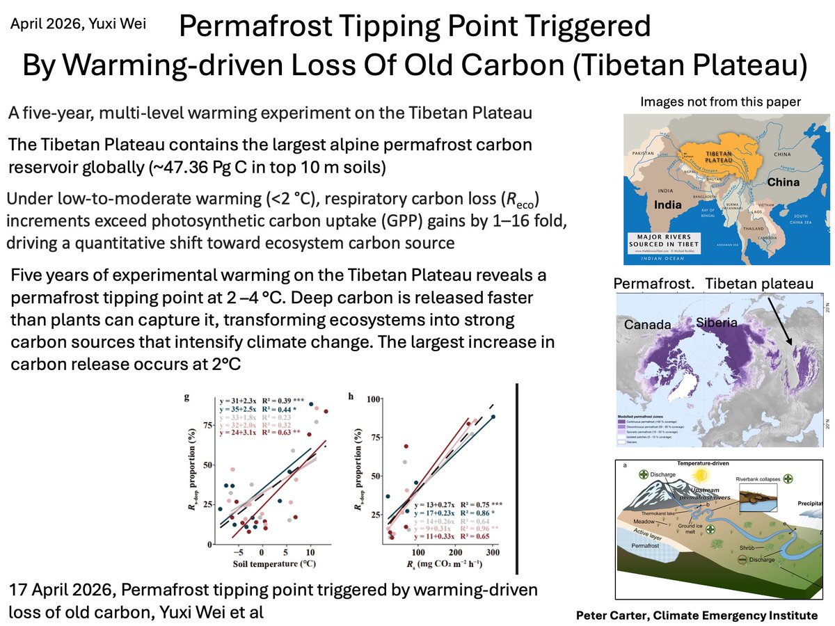 PCarterClimate's tweet photo. PERMAFROST TIPPING POINT BY 2°C, TIBETAN PLATEAU EXPERIMENT
2026 paper Permafrost Tipping Point Triggered  By Warming-Driven Loss Of Old Carbon. Experimental warming on the Tibetan Plateau reveals a permafrost tipping point at 2 –4 °C. The largest increase in carbon release occurs at 2°C. https://t.co/lyowWk93Ke
#climatechange #globalwarming