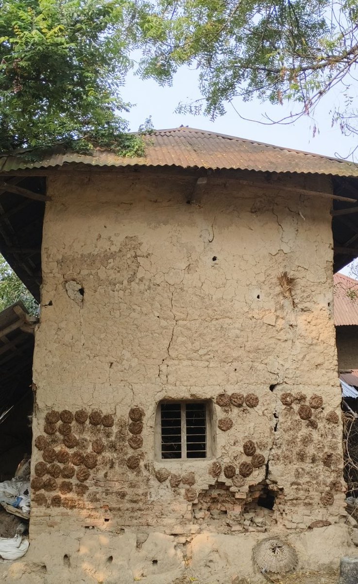 missRanuka95's tweet photo. Hey @grok Convert this broken house into a building house. https://t.co/6jK35sr9hT