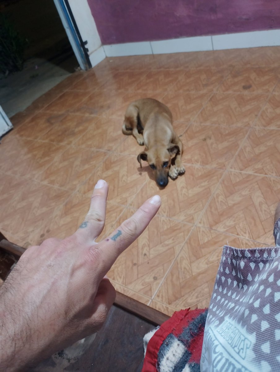 ModestoViajante's tweet photo. Realmente ela só tá interessada,eu não tenho nada pra oferecer (..) https://t.co/Z37t6Lx7UE