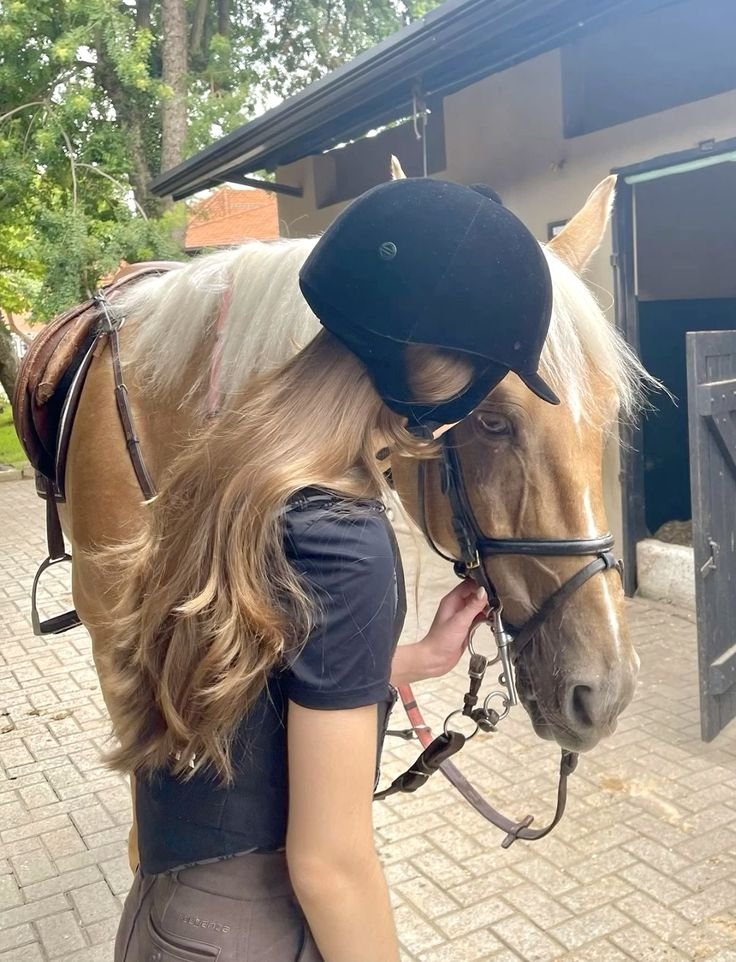 m00nyevans's tweet photo. today i think about equestrian rivals narcissa black and lily evans who starts to soften up for each other as their love for horses bring them closer 🙂‍↕️🙂‍↕️ https://t.co/rvWXY2KLHk