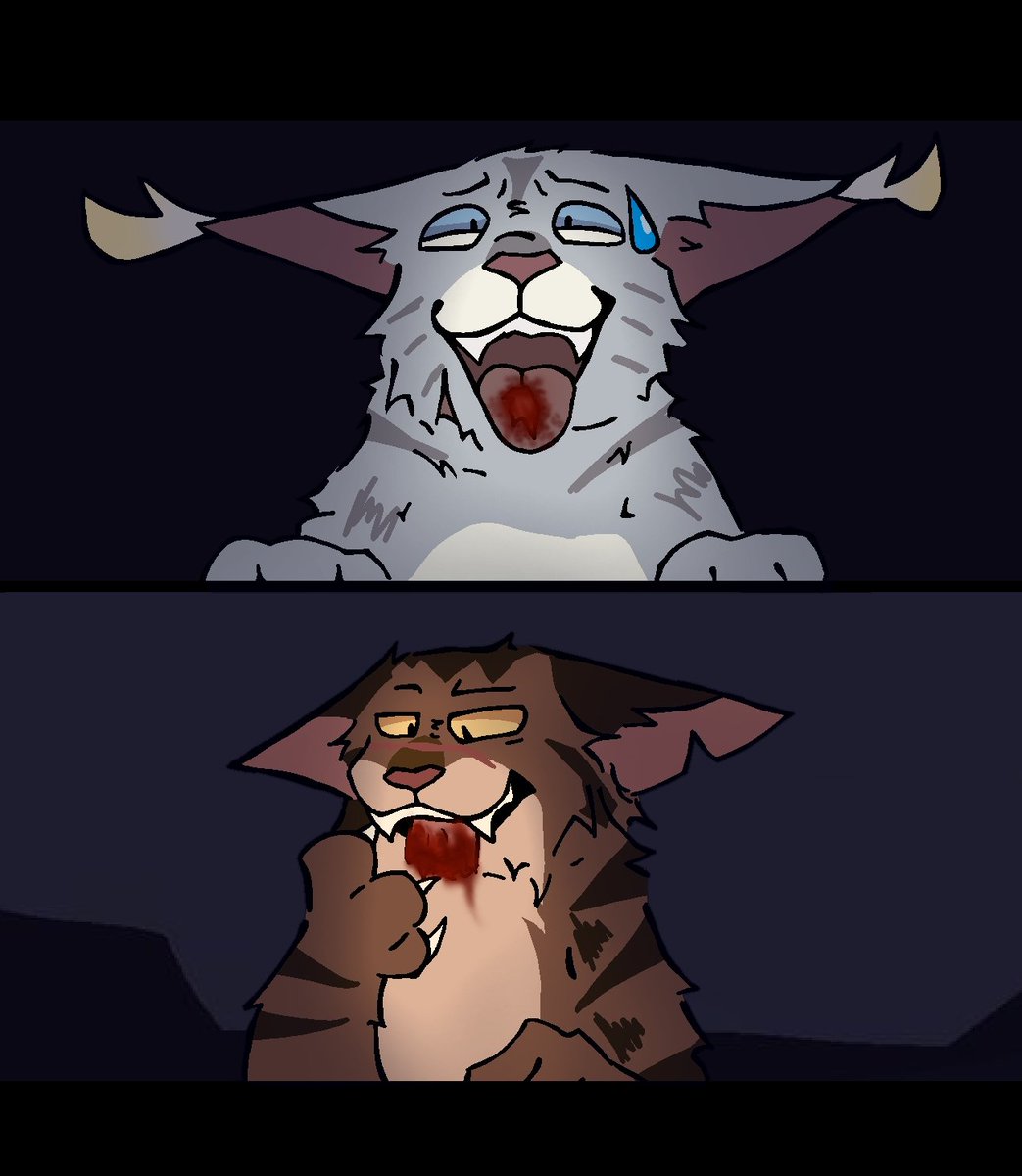 AlexAstef278's tweet photo. @Straw_berryart He's just novel ashfur but with blonde ear tuffs xd but here's mine
Probably the only ashfur with a happy new healthy life https://t.co/H79w1ZDLqv