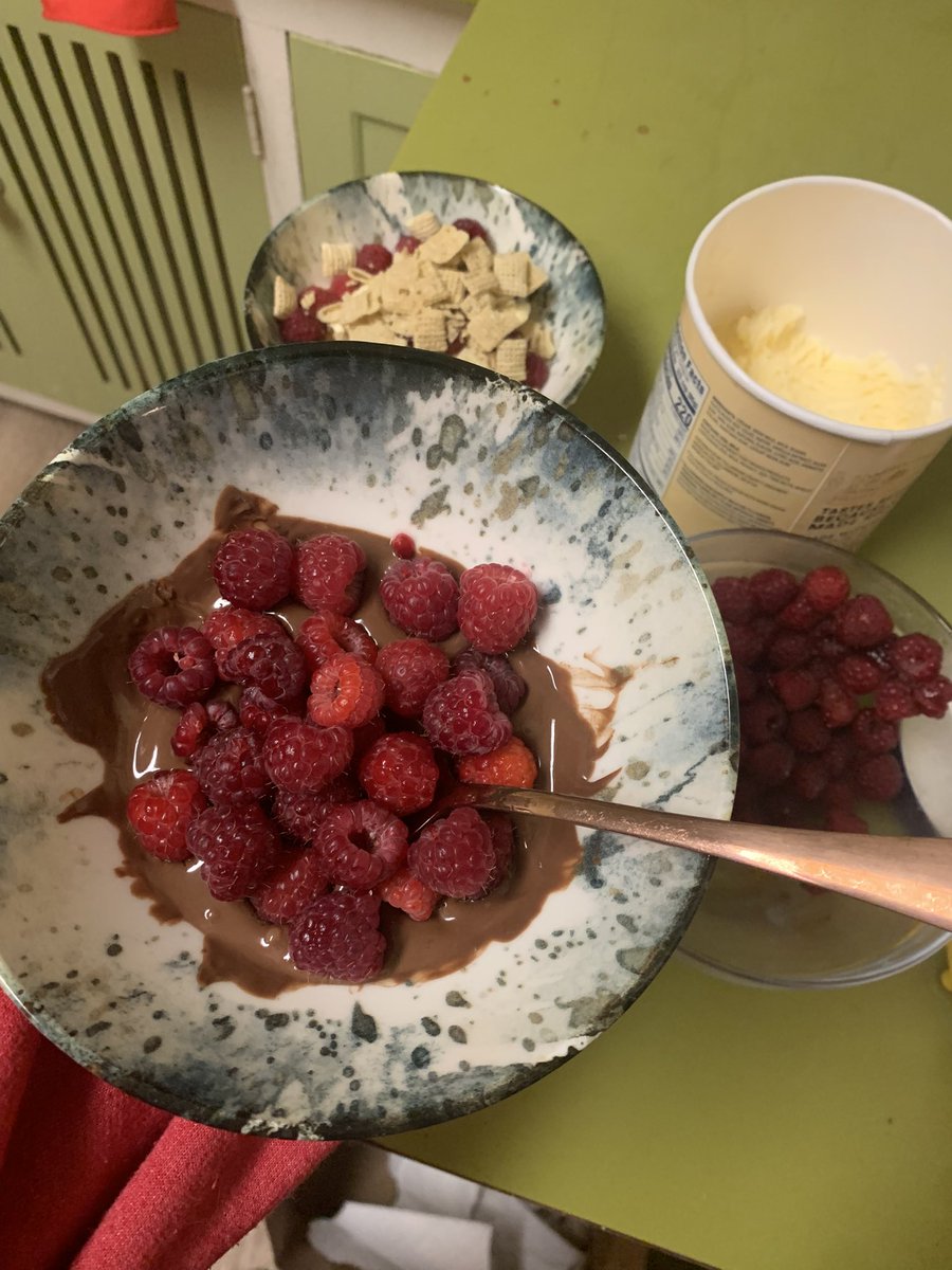 SmoneMallow's tweet photo. My favorite desert btw. Raspberries and melted chocolate aaaaaa https://t.co/TwmtmxjC1C