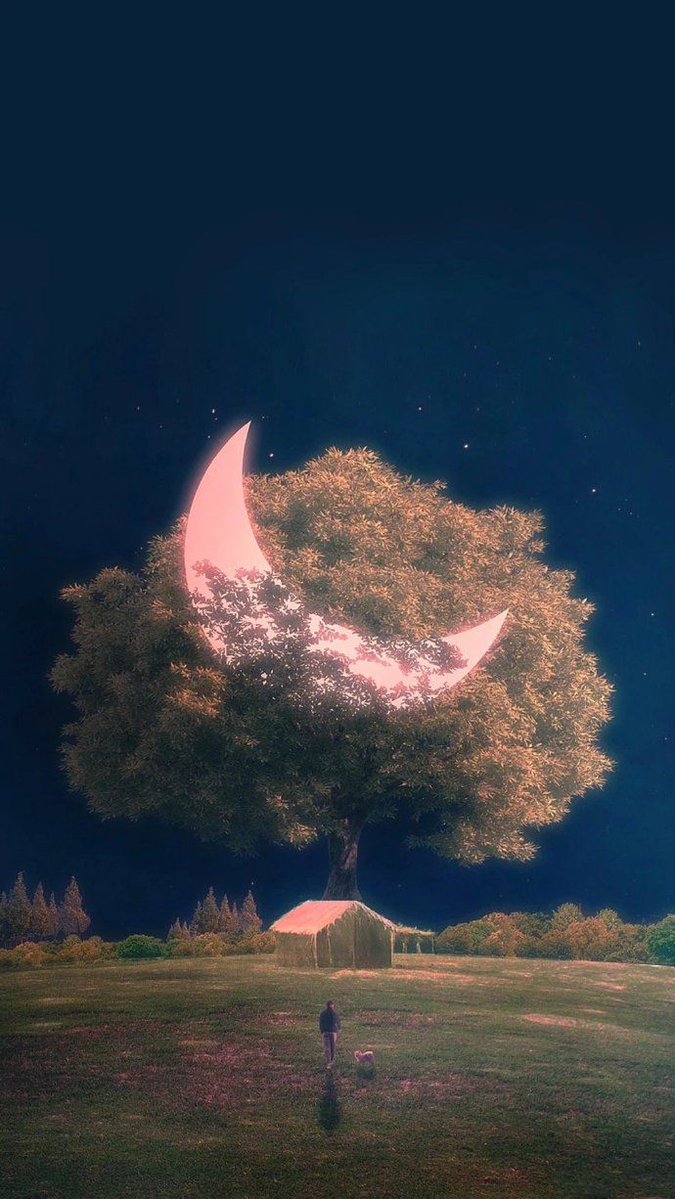 VFocas's tweet photo. [异地的夜晚同看一轮月，说句“我想你”，风就把想念递到你耳边啦]， https://t.co/5Sy36joISY