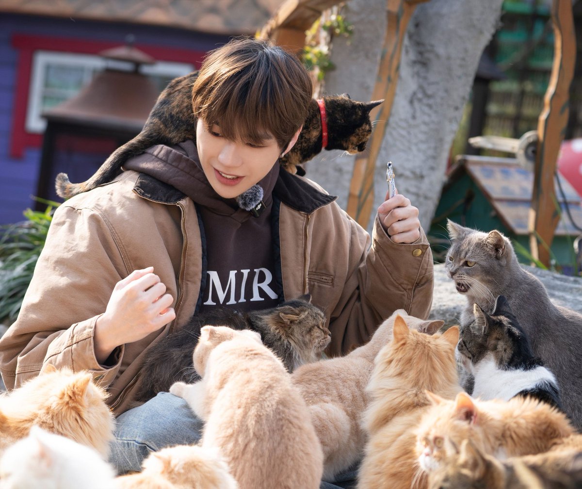 qu0k9's tweet photo. ㅋㅋㅋㅋㅋ 뒤에 냥님 달라고 갈! 하고계신데 https://t.co/obpT4mlWD5