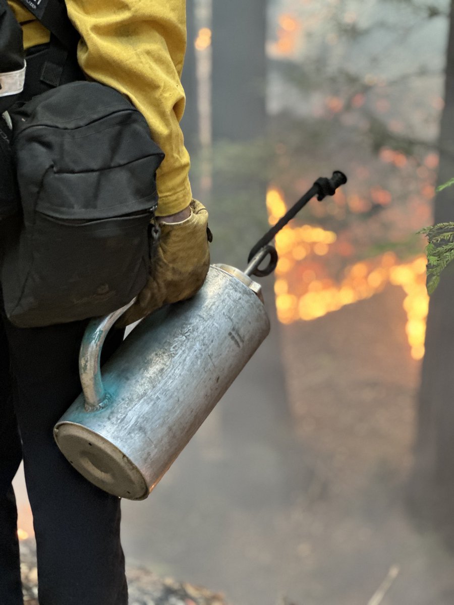 CALFIRECZU's tweet photo. 🔥 Prescribed Burn Notice – Soquel Demonstration State Forest 🔥

CAL FIRE San Mateo–Santa Cruz Unit plans an ~8-acre prescribed burn near Sulphur Springs Road on Thursday, June 4, 2026, from 9 AM–5 PM (weather permitting). Sulphur Springs Road will be temporarily closed to vehicles, hikers, and cyclists during operations and for several days afterward. The burn will help reduce wildfire fuels and support healthy redwood forest regeneration. Smoke may be visible in the area. Please follow all posted signs and closures. #CALFIRE #PrescribedBurn #WildfirePrevention #CZU