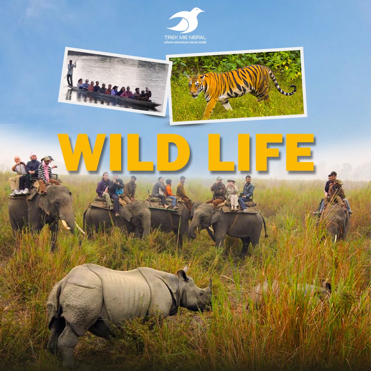 TrekMeNepal's tweet photo. Why exhaust yourself hopping countries when Nepal has it all? 🇳🇵

Adventure. Culture. Wildlife. Spirituality — all in one visa, one destination. Infinite worlds.

Drop a message for your tailor-made Nepal experience!
Email: info@trekmenepal.com
#OneDestinationEverything https://t.co/QvZz56gNkJ