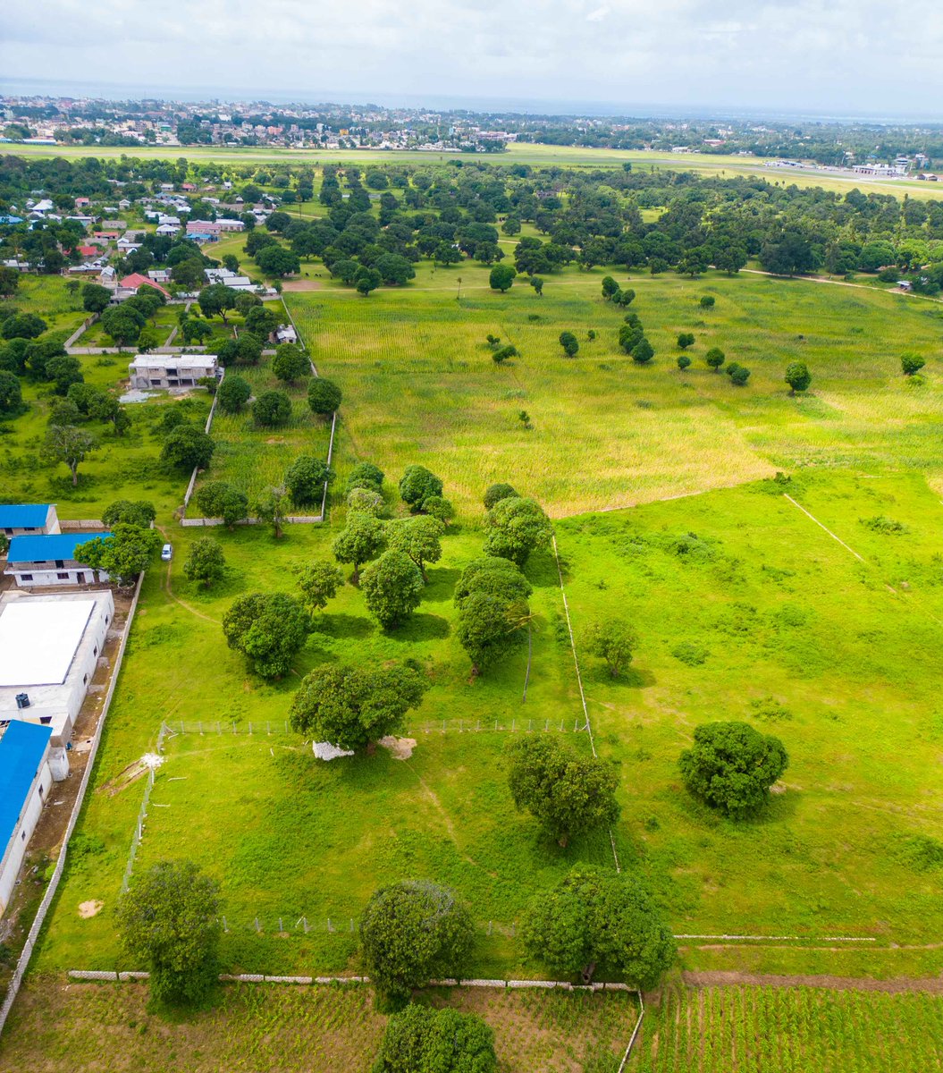 Inukaproperties's tweet photo. MALINDI PRIME PLOTS BELOW KES  1 MILLION

1/8-acre plot in Malindi for KES 950,000

Just 3 km from Malindi Airport &amp; town center; perfect for a home or coastal investment.

✅ Deposit 400K
✅ Balance payable in 12 months
✅ Title transfer included

 https://t.co/EqBdiKbaWi https://t.co/0sg2lmuWb3