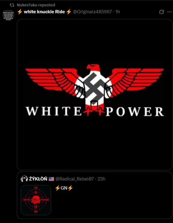 ISkinNazis's tweet photo. @NukesTaku @92Kinh @KinaMagica "not racist" ok man https://t.co/ZBvpehNKl7