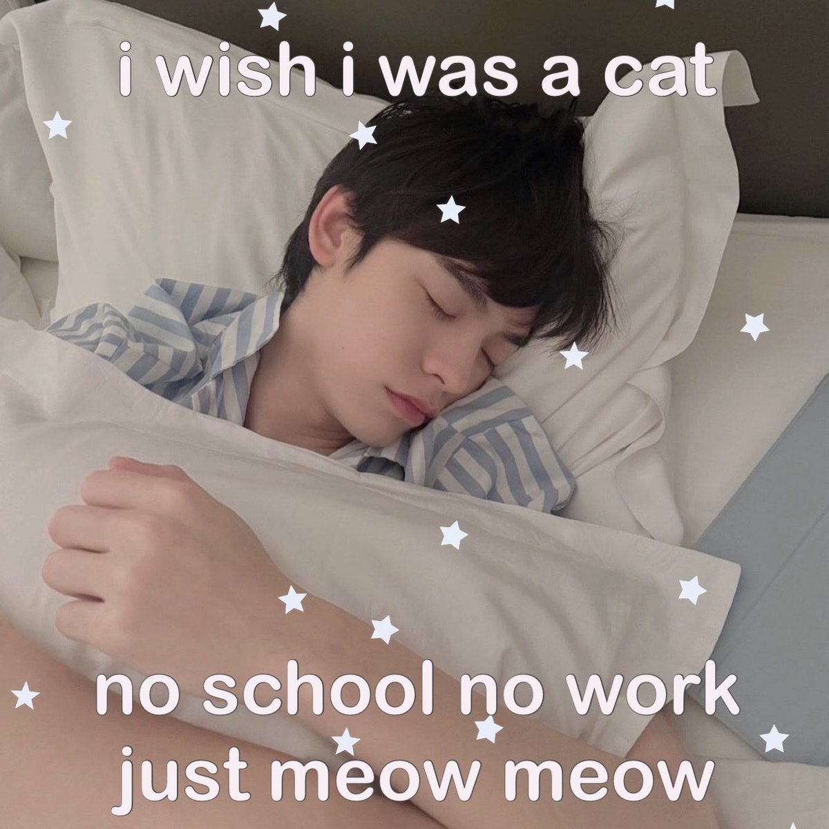 woemezi tweet picture