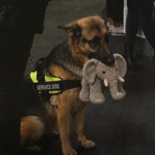 embry riddle aeronautical university transfer