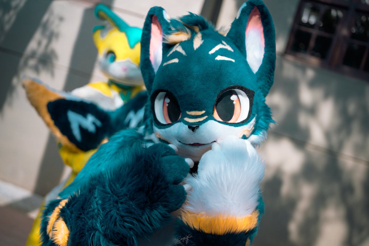 ShouLei_Heck's tweet photo. 👀有鏡頭對著我
先可愛一下💕
後面的黃色狐狸先等等🦊
💙🐱🐋
📸：@SonderonSD 
#FursuitEveryday #Fursuit #偷偷可愛 https://t.co/u95MfRpsuO