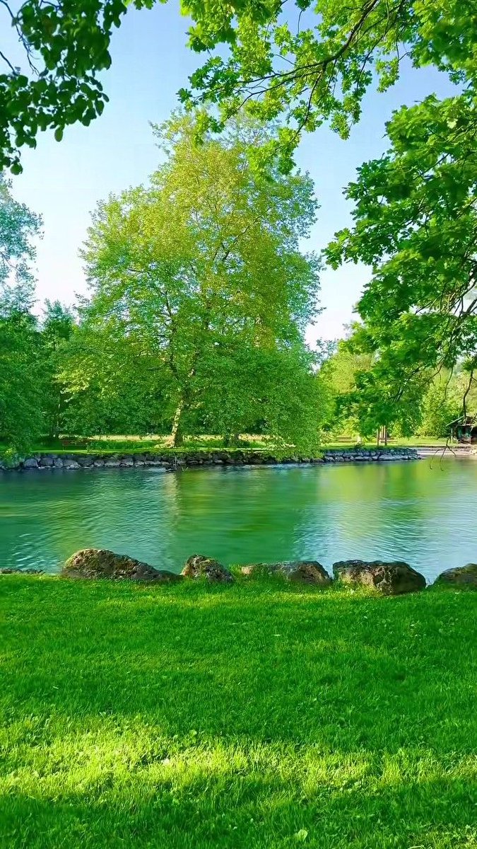 Pure Nature tweet media