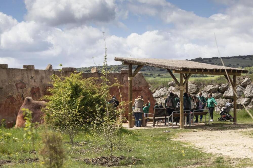 citatapuerca's tweet photo. El Centro de Arqueología Experimental #CAREX de #Atapuerca #renueva el exterior y añade un bosque; el parque estrena cabañas, pérgolas y elementos de atrezo, eleva las áreas inundables e incorpora 200 árboles y arbustos, invirtiendo 178.000 €

ℹ️ https://t.co/xP31pAHhnk https://t.co/lEfodtKUPB